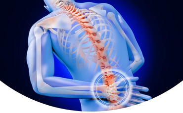 Ceinture PhysioMedic - Sciatique et douleur du bas du dos