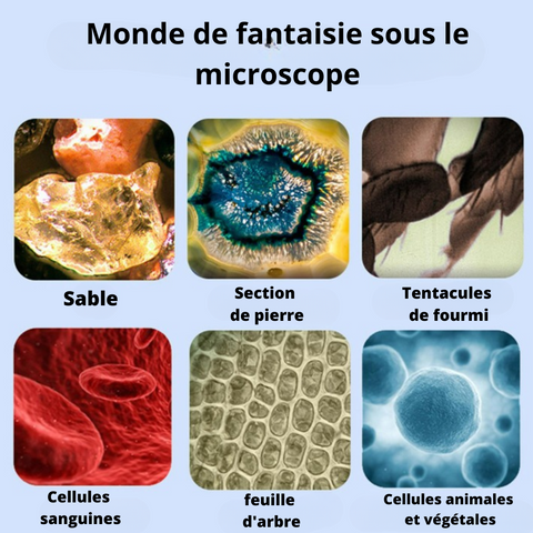 MICROSCOPE PORTATIF POUR ENFANTS - MICROPOCHE BERDAQUEBEC